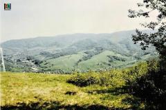 jurajdurkotizs