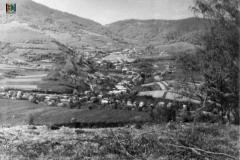 wertzuiop