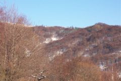 zima_0804