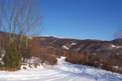 zima_0808